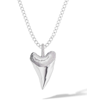 Shark Tooth Pendant Necklace