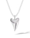 Shark Tooth